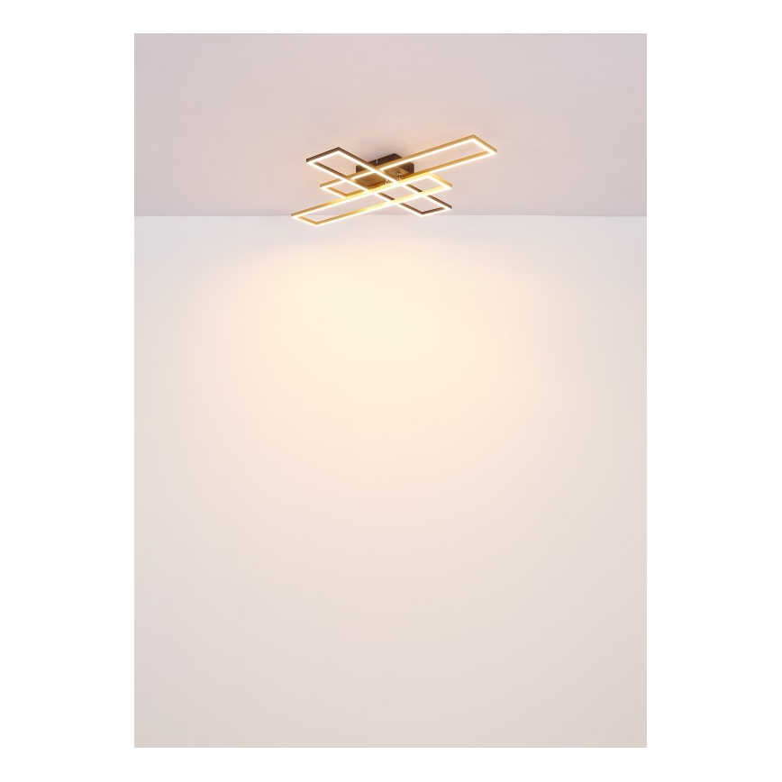Globo - LED Ceiling light LED/40W/230V 3000K 60x80 cm black/gold