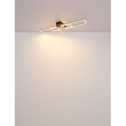 Globo - LED Ceiling light LED/40W/230V 3000K 25x100 cm black