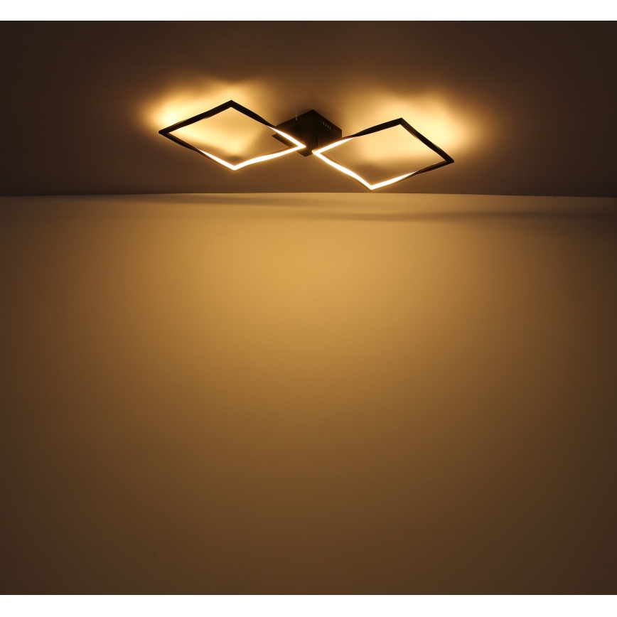 Globo - LED Ceiling light LED/24W/230V