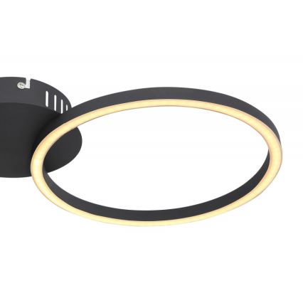 Globo - LED Surface-mounted chandelier LED/24W/230V