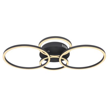 Globo - LED Surface-mounted chandelier LED/40W/230V