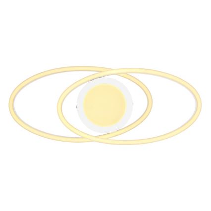 Globo - LED Ceiling light LED/24W/230V