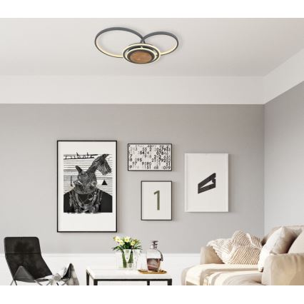 Globo - LED Ceiling light LED/40W/230V