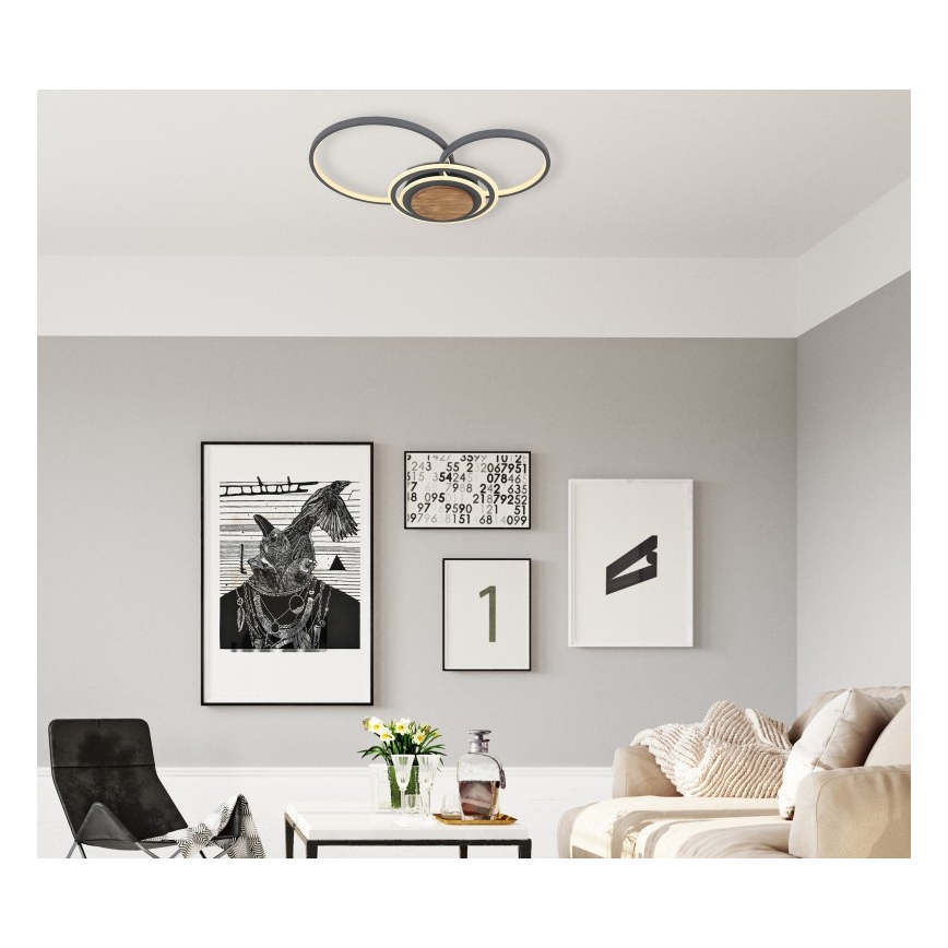 Globo - LED Ceiling light LED/40W/230V