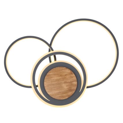 Globo - LED Ceiling light LED/40W/230V