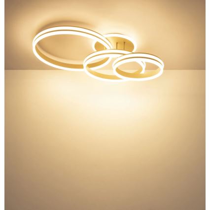 Globo - Dimmable LED ceiling light LED/72W/230V 3000K 79,5x50 cm