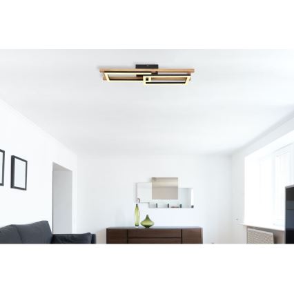 Globo - LED Ceiling light LED/20W/230V