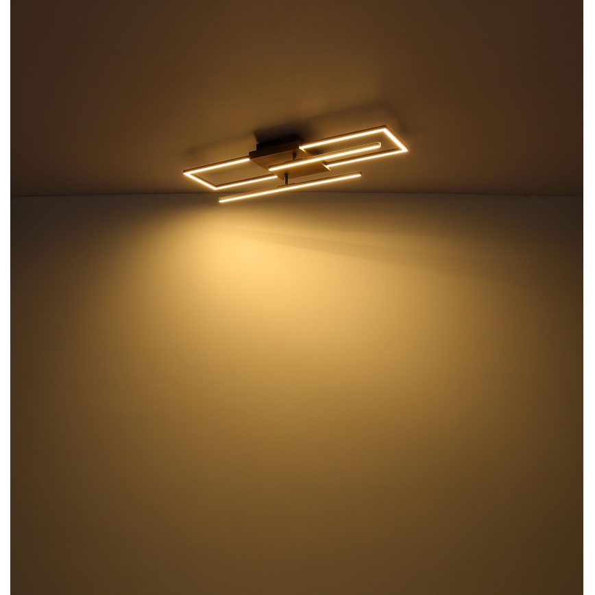 Globo - LED Ceiling light LED/18W/230V