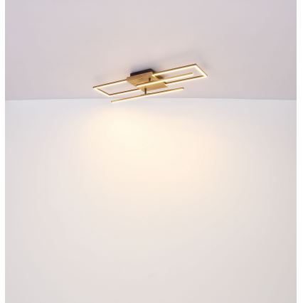 Globo - LED Ceiling light LED/18W/230V