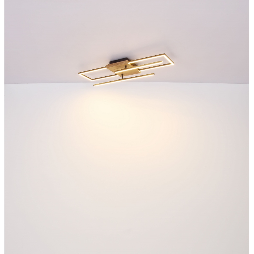 Globo - LED Ceiling light LED/18W/230V