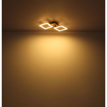 Globo - LED Surface-mounted chandelier LED/18W/230V
