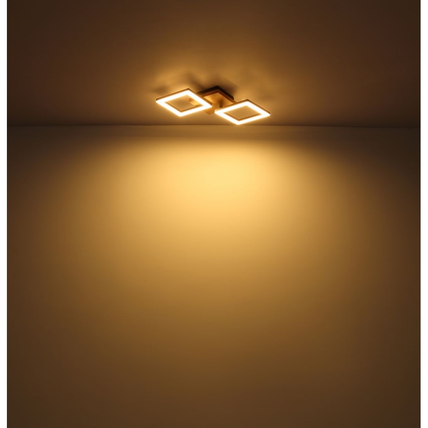 Globo - LED Surface-mounted chandelier LED/18W/230V