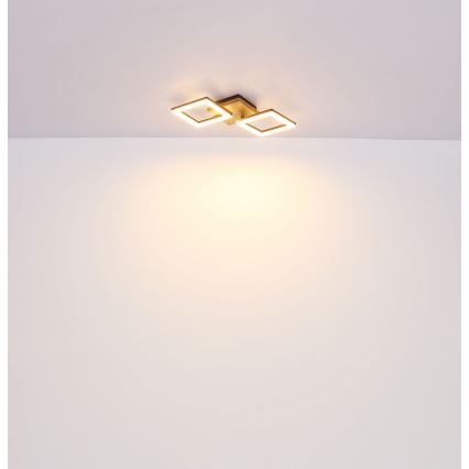 Globo - LED Surface-mounted chandelier LED/18W/230V