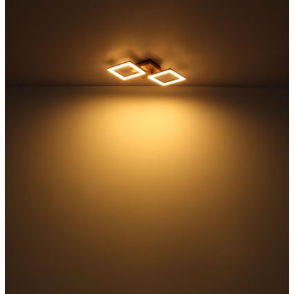 Globo - LED Surface-mounted chandelier LED/30W/230V