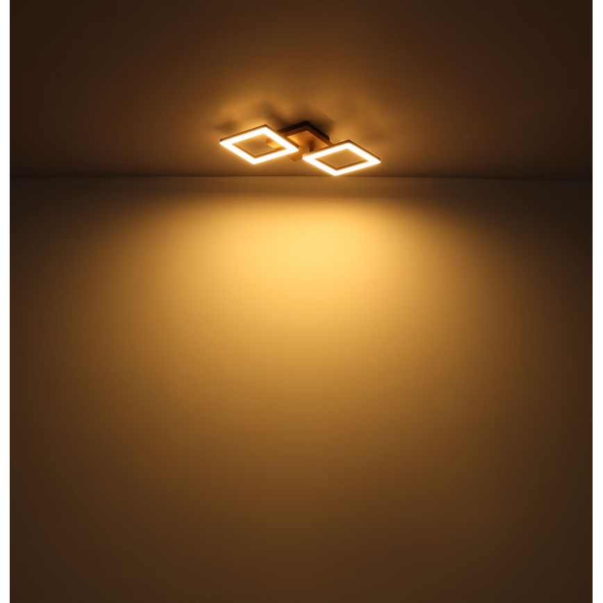 Globo - LED Surface-mounted chandelier LED/30W/230V