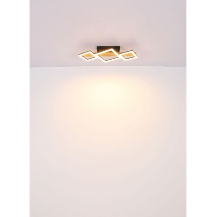 Globo - LED Ceiling light LED/29W/230V