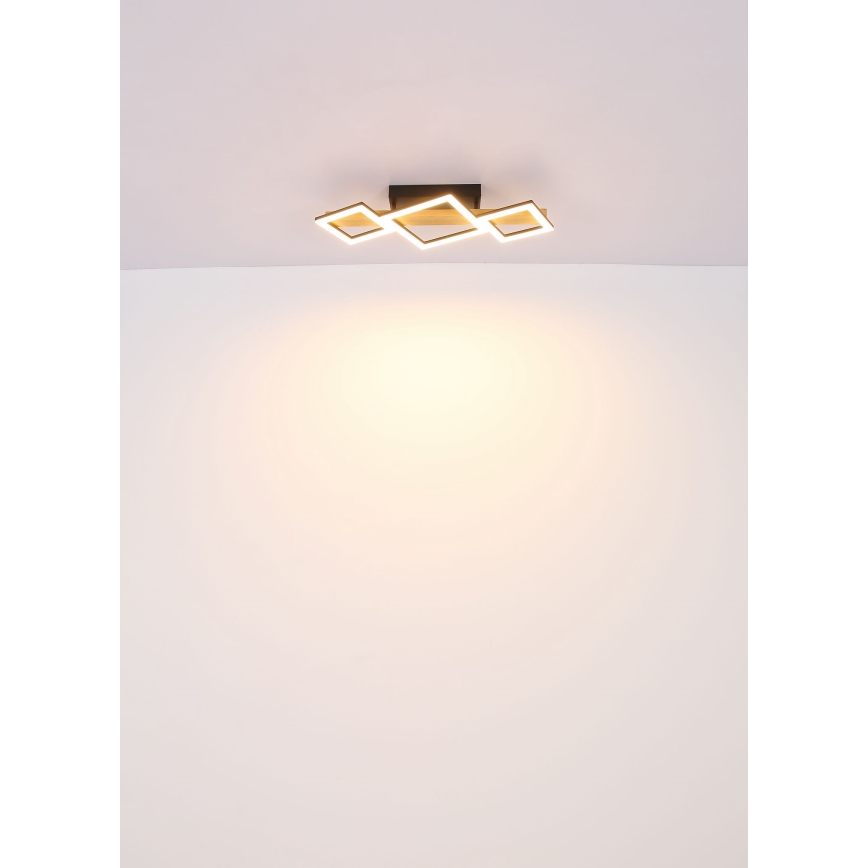 Globo - LED Ceiling light LED/29W/230V