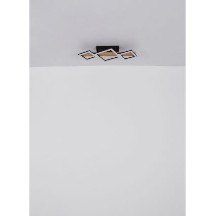 Globo - LED Ceiling light LED/29W/230V