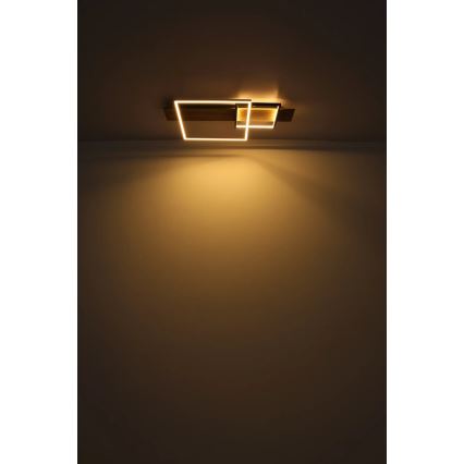 Globo 67289D1 - VANNI LED Ceiling Light LED/24W/230V 40x75 cm brown/black