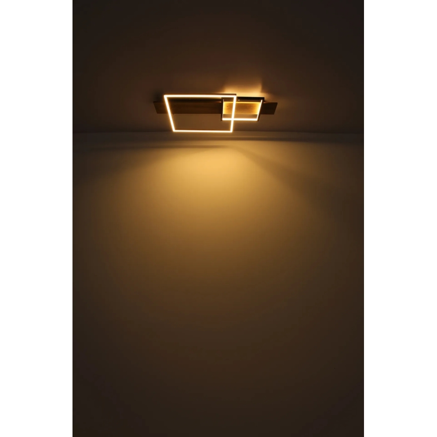 Globo 67289D1 - VANNI LED Ceiling Light LED/24W/230V 40x75 cm brown/black
