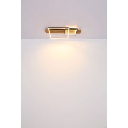 Globo 67289D1 - VANNI LED Ceiling Light LED/24W/230V 40x75 cm brown/black