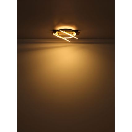 Globo - LED Ceiling light LED/32W/230V