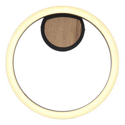 Globo - LED Ceiling light LED/12W/230V