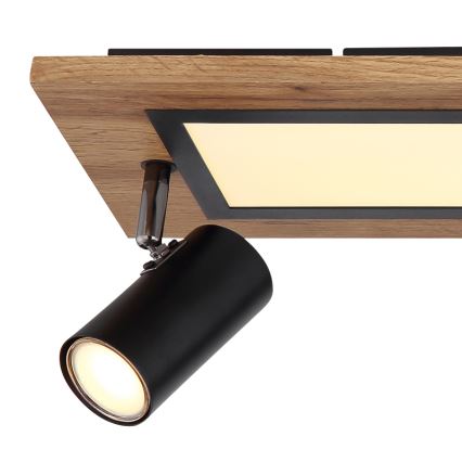 Globo - LED Spotlight LED/24W/230V + 3xGU10/5W