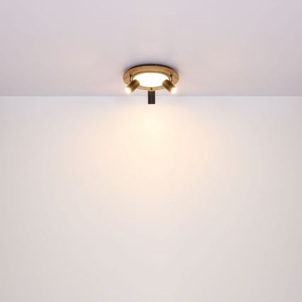 Globo - LED Spotlight 3xGU10/5W/230V + LED/15W/230V