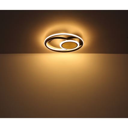 Globo - LED Ceiling light LED/24W/230V