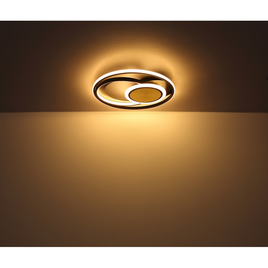 Globo - LED Ceiling light LED/24W/230V