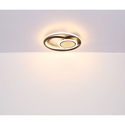 Globo - LED Ceiling light LED/24W/230V