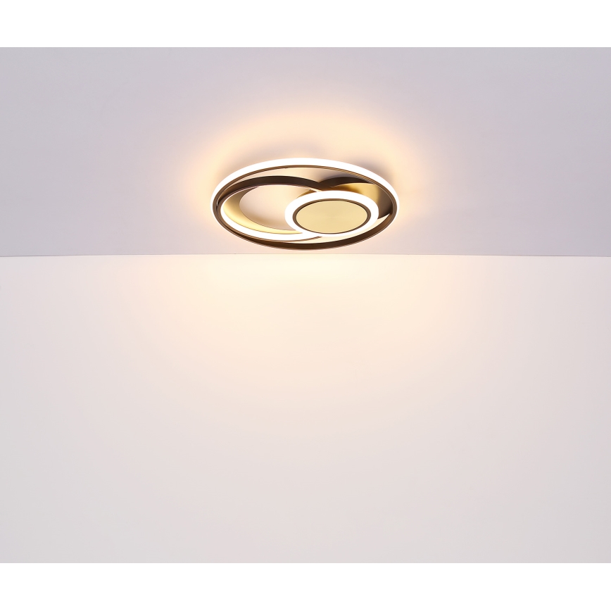 Globo - LED Ceiling light LED/24W/230V