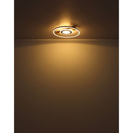 Globo - LED Ceiling light LED/24W/230V