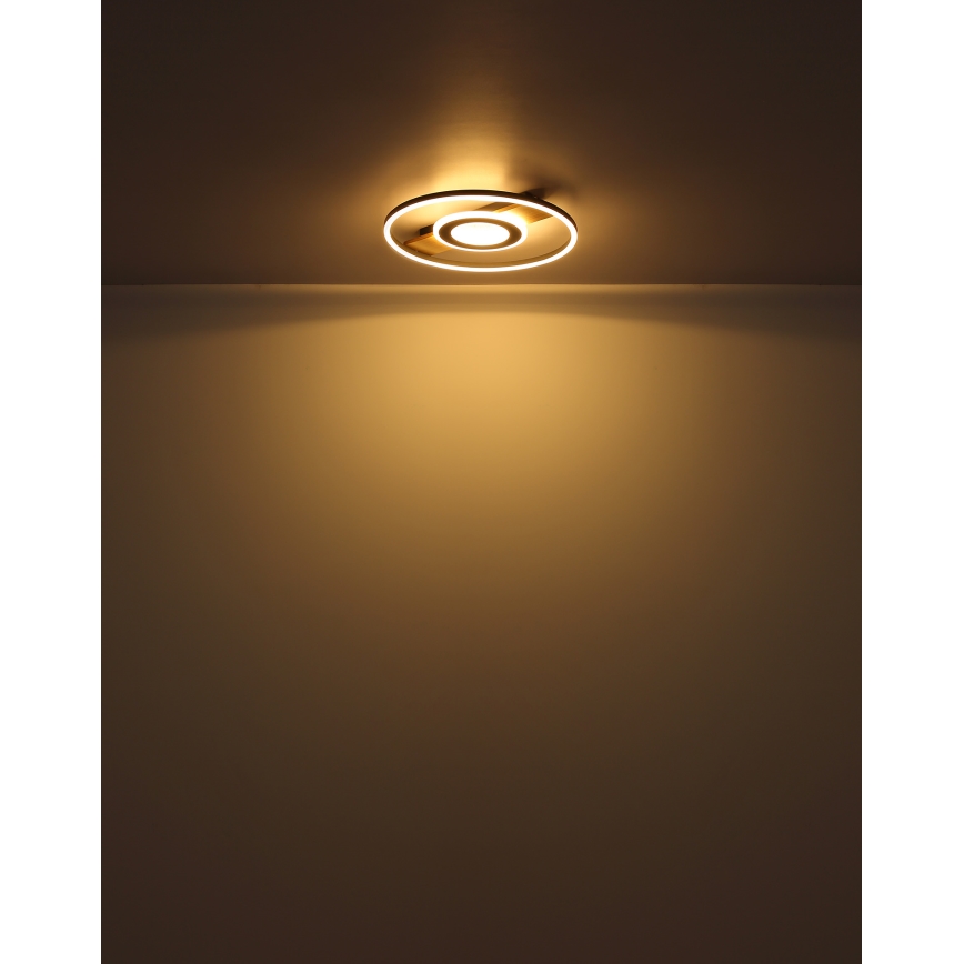 Globo - LED Ceiling light LED/24W/230V