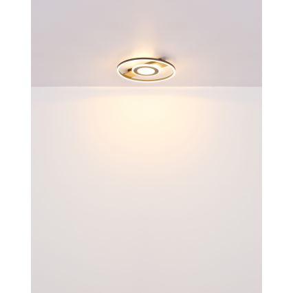 Globo - LED Ceiling light LED/24W/230V