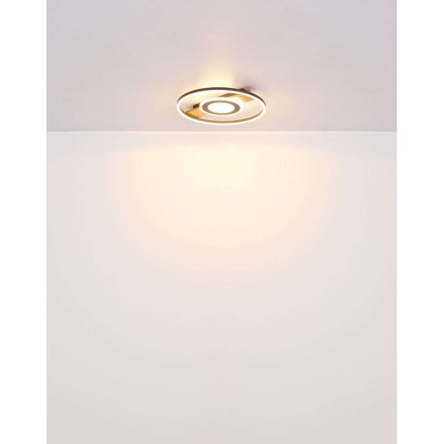 Globo - LED Ceiling light LED/24W/230V