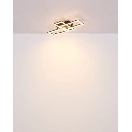 Globo - LED Ceiling light LED/24W/230V