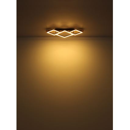 Globo - LED Ceiling light LED/24W/230V
