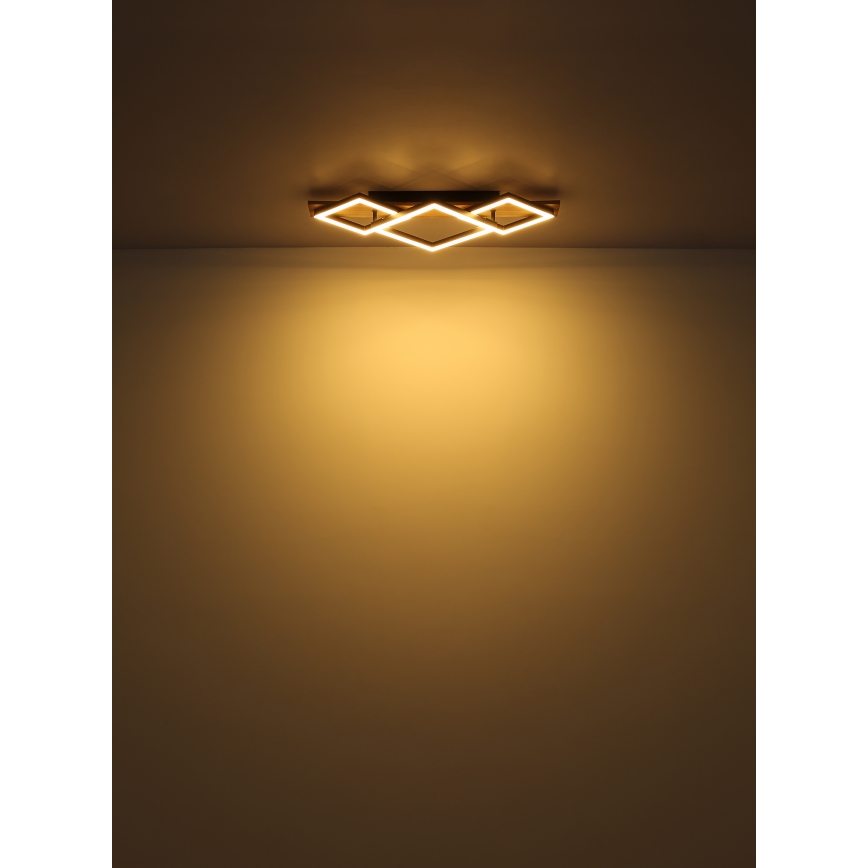 Globo - LED Ceiling light LED/24W/230V