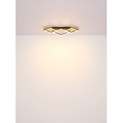 Globo - LED Ceiling light LED/24W/230V