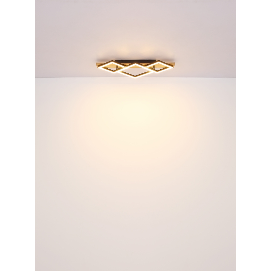 Globo - LED Ceiling light LED/24W/230V