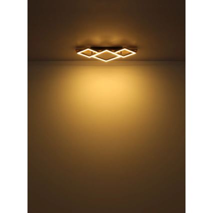 Globo - LED Ceiling light LED/24W/230V
