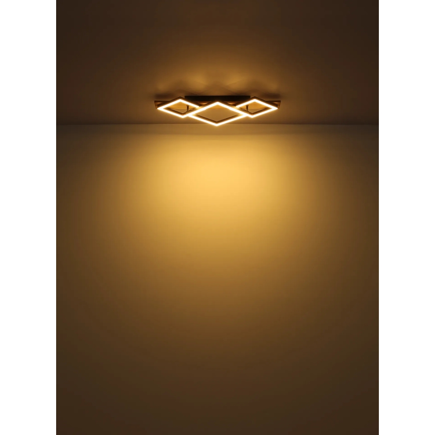 Globo - LED Ceiling light LED/24W/230V