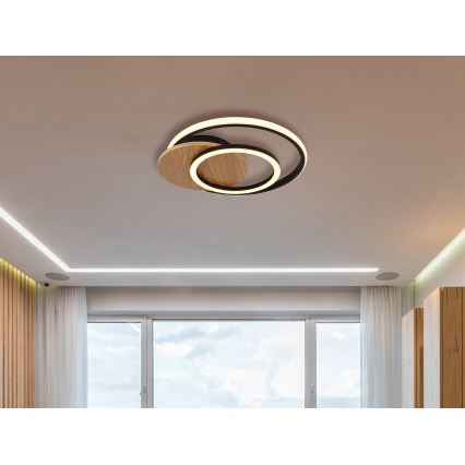 Globo - LED Ceiling light LED/24W/230V black