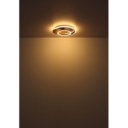 Globo - LED Ceiling light LED/24W/230V black