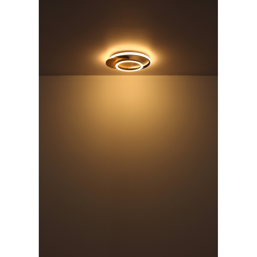 Globo - LED Ceiling light LED/24W/230V black