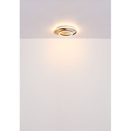 Globo - LED Ceiling light LED/24W/230V black