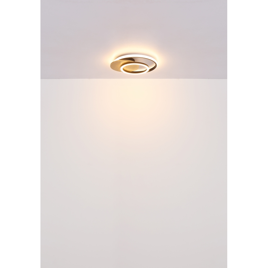 Globo - LED Ceiling light LED/24W/230V black