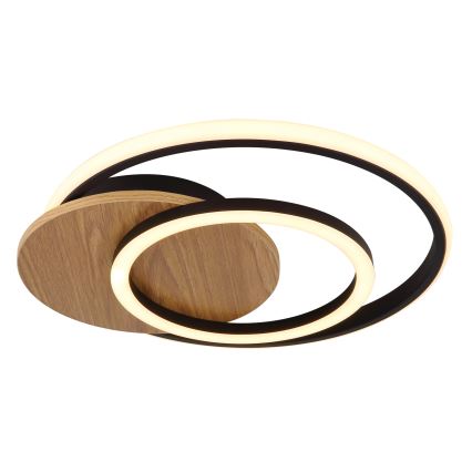 Globo - LED Ceiling light LED/24W/230V black